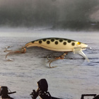 Jensen vaappu - pikkukuva 2