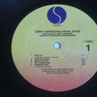 Jerry Harrison:Casual Gods  LP   1988 - pikkukuva 4