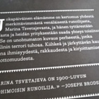 Riikka Pelo: Jokapäiväinen Elämämme - pikkukuva 2