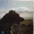 LP-LEVY: MIKE OLDFIELD : HERGEST RIDGE - pikkukuva 2