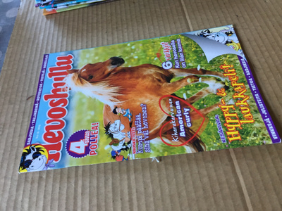 HEVOSHULLU 16/2018 HYVÄ
