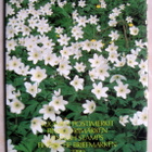 1990 Vuosilajitelma . (4-kuvaa.) - pikkukuva 4