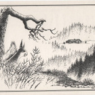 kortti **/° Orava - erilaisia valokuva- tai taidekortteja - pikkukuva 4
