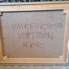 Mika Kari "Vaikeuksista voittoon" - pikkukuva 5