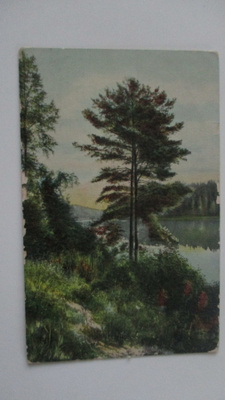 VANHA POSTIKORTTI - KANGASALA 1903 (PK-2-71)