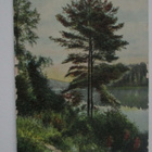 VANHA POSTIKORTTI - KANGASALA 1903 (PK-2-71) - pikkukuva 1