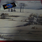 PETER GREEN - WHITE SKY M-/EX LP - pikkukuva 1