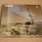 Pearl Jam: Hail, hail & Not for you CDS * 2 - pikkukuva 2