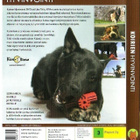 dvd, Koirien hyvinvointi [koirat, hoito, kasvatus] - pikkukuva 2