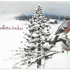 Erikoisleima Helsinki Joulu (1985) - pikkukuva 2