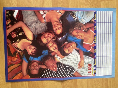 Beverly Hills 90210 juliste