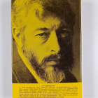 J. P. Donleavy : Holtiton mies - pikkukuva 2