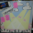 GARANTERAT - TAXFREE M-/M- VERY RARE LP - pikkukuva 1