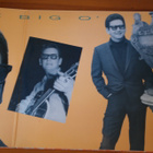 Roy Orbison:The Roy Orbison Collection 2LP - pikkukuva 4