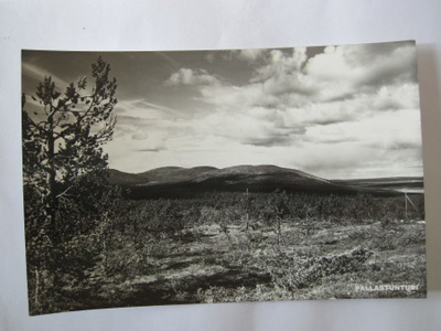 Postikortti Lappi Pallastunturi 1950-l Alkup.Mallikappale
