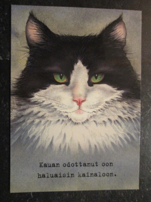 KULKEMATON KISSAKORTTI KAUAN ODOTTANUT OON HALUAISIN KAINALO