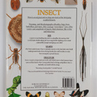 Laurence Mound : Insect : Discover the busy and intriguin... - pikkukuva 2