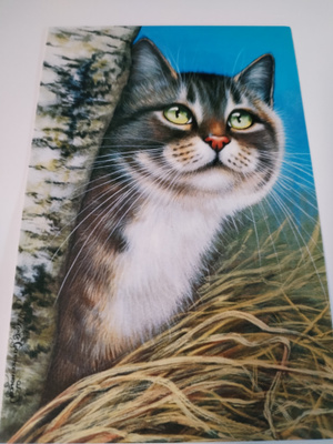 Kissa kortti,kulkematon.