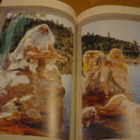 Juhla-Kanteletar - Nahkaselys + Kotelo - 1.p.1983 - pikkukuva 5