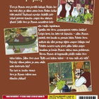 Viiru ja Pesonen - Viirun Syntymäpäivä - DVD - pikkukuva 2