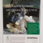 Lea Yli-Suvanto : Tottelevaisuuskoulutus ja koiran kotika... - pikkukuva 2