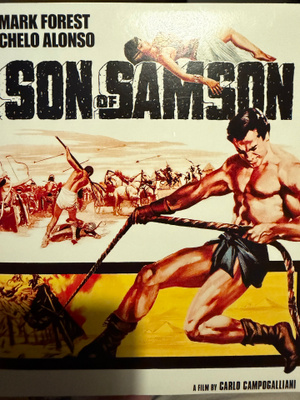 Son of Samson