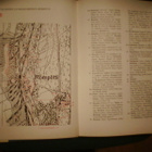 Hilska : KOIVISTOLAISET 1939 ( 1 p. 1988 ) Sis.pk:t - pikkukuva 3