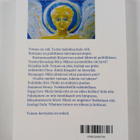 Lemmikki Valkeameri : Turun ihmeitten yö : tulevaisuusrom... - pikkukuva 2
