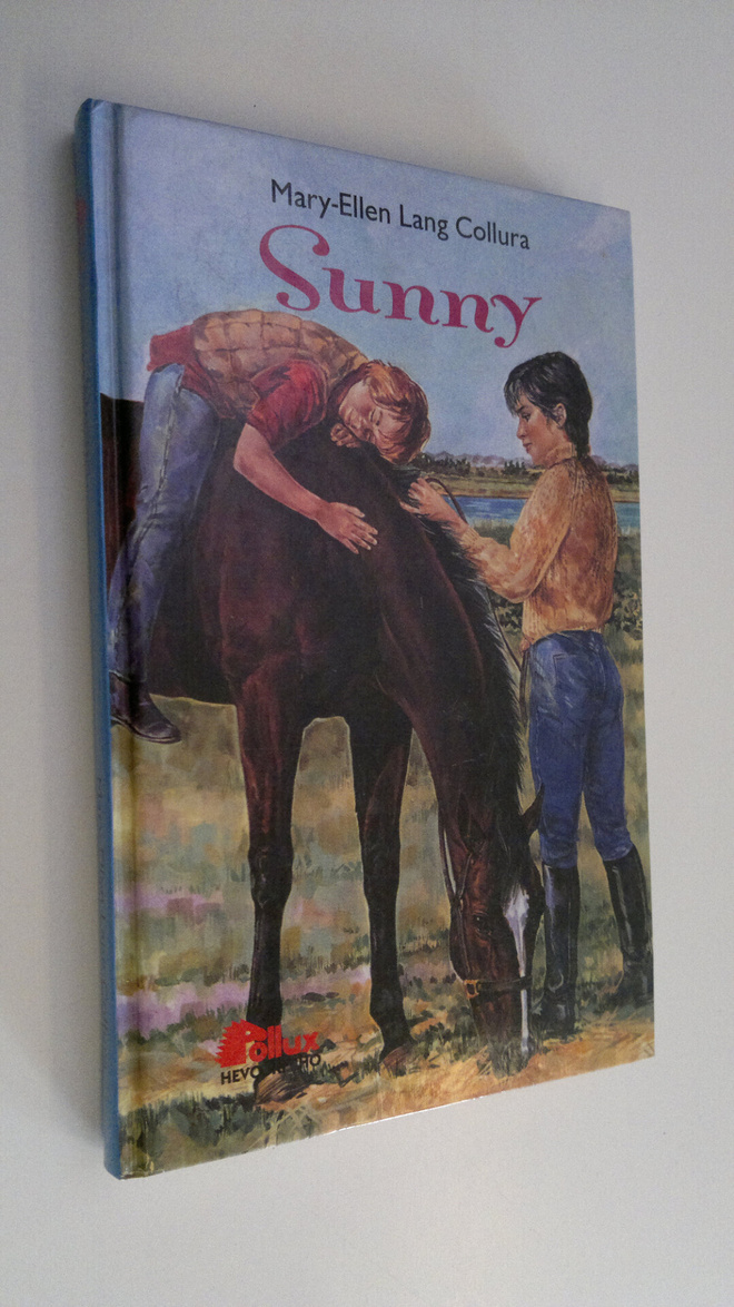Mary-Ellen Lang Collura : Sunny