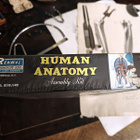 Renwal “Human Anatomy” Assembly Kit – Yhdysvallat, 1950–1960 - pikkukuva 4