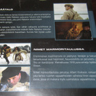 Päätalo / Nimet marmoritaulussa 2dvd - pikkukuva 2