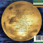 Bill Whelan – Riverdance - Music From The Show - pikkukuva 2