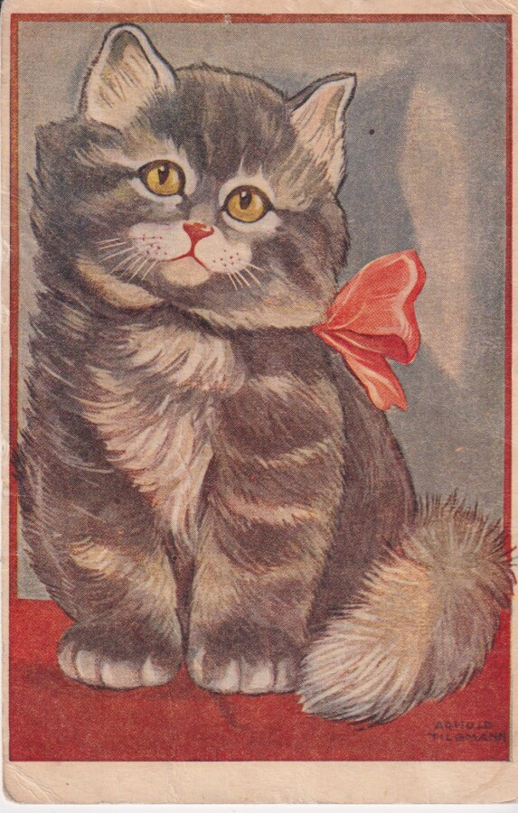 Arnold Tilgmann, Kissa,   e223