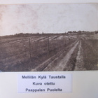 VANHA Postikortti Lieto Mellilä 1920-l - pikkukuva 1