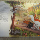 WALT DISNEY: MARIE KARKUTEILLÄ - pikkukuva 4