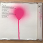 Bryan Adams - Flying CDS - pikkukuva 2