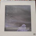 Zebra And Snake – Healing Music LP - pikkukuva 2