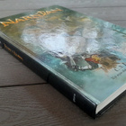 Narnian Tarinat: Velho Ja Leijona (C.S. Lewis 1950/2005) - pikkukuva 3