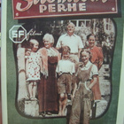SUOMISEN PERHE DVD - pikkukuva 1