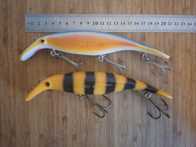 Swim Whizz n. 20cm 2kpl