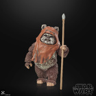 Star Wars Episode VI 40th WICKET EWOK- HEAD HUNTER STORE. - pikkukuva 2