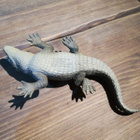 SCHLEICH KROKOTIILI - pikkukuva 3