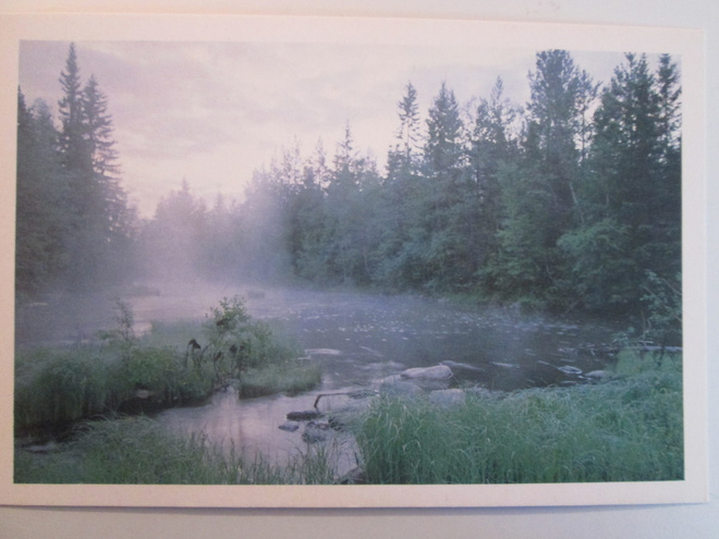 KULKEMATON USVAINEN SANGINJOKI OULU