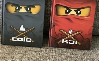 2 X LEGO NINJAGO (masters of spinjitzu)  COLE & KAI