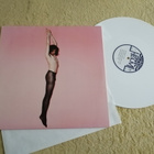 SPIGU - Viimeinen papukaija LP - pikkukuva 1