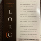 LORCA: MUSTALAISROMANSSEJA - pikkukuva 2