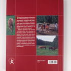 Ratsastus harrastuksena - pikkukuva 2