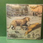 ABSURD - LIVE & RAW IN THE NORTH M-/M- 7" EP - pikkukuva 2