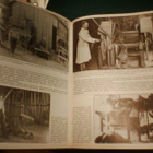 SUOMALAINEN PERINNEKUVASTO (1.p.1980) Sis.postikulut - pikkukuva 5