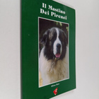 Il mastino dei pirenei - pikkukuva 1